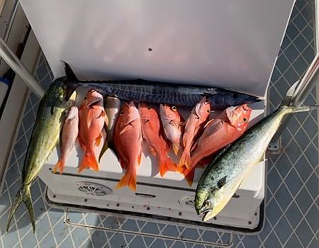  Fish on deck