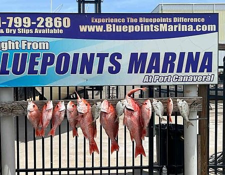  Catch in front of Bluepoints Marina sign