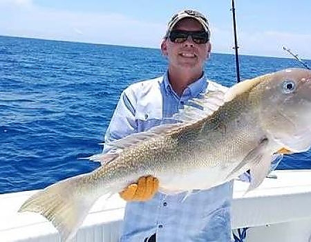 Man aboard boat holds up a huge fish